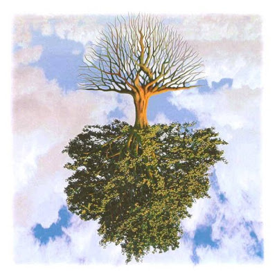 albero-della-vita